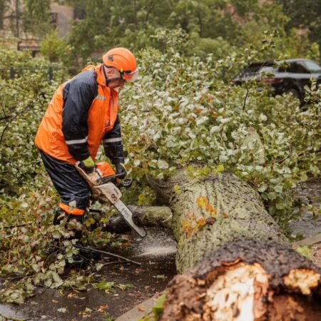 Šiaulių tvarkosi po katastrofinės meteorologinės audros: kur kreiptis gyventojams?