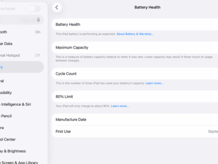„Apple“ nerodo akumuliatoriaus būklės senesniuose „iPad“ – štai kaip tai patikrinti