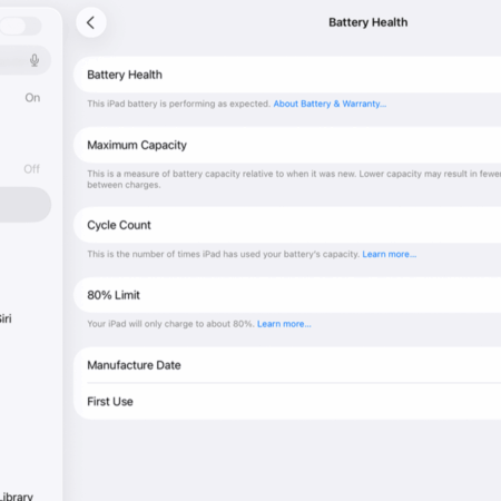 „Apple“ nerodo akumuliatoriaus būklės senesniuose „iPad“ – štai kaip tai patikrinti